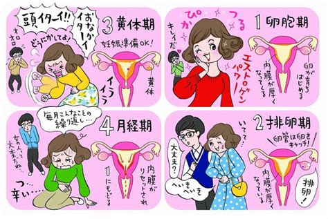 生理前 sex|生理中 Search